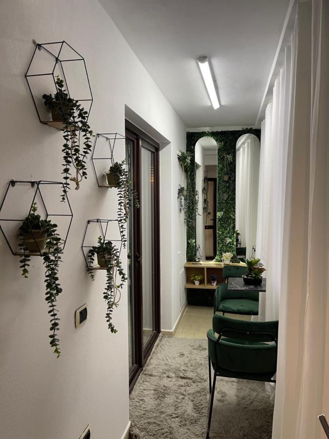 Superior 2Br Apartment Тирана Экстерьер фото